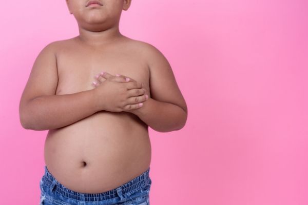 Os Riscos da Obesidade Para Sua Saúde